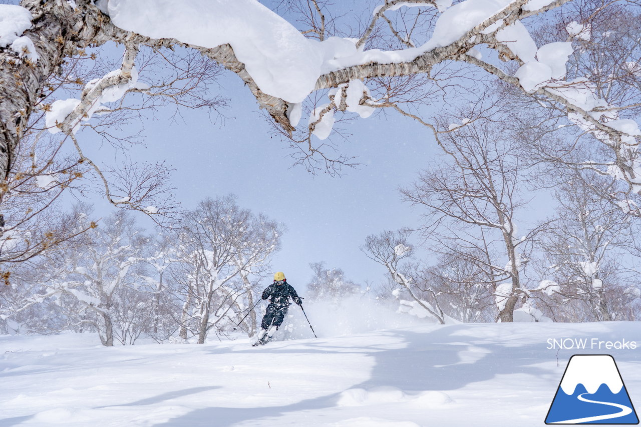 ニセコ東急グラン・ヒラフ｜積雪400cm！ニセコの『PowderSnow』を味わい尽くす、贅沢な時間♪